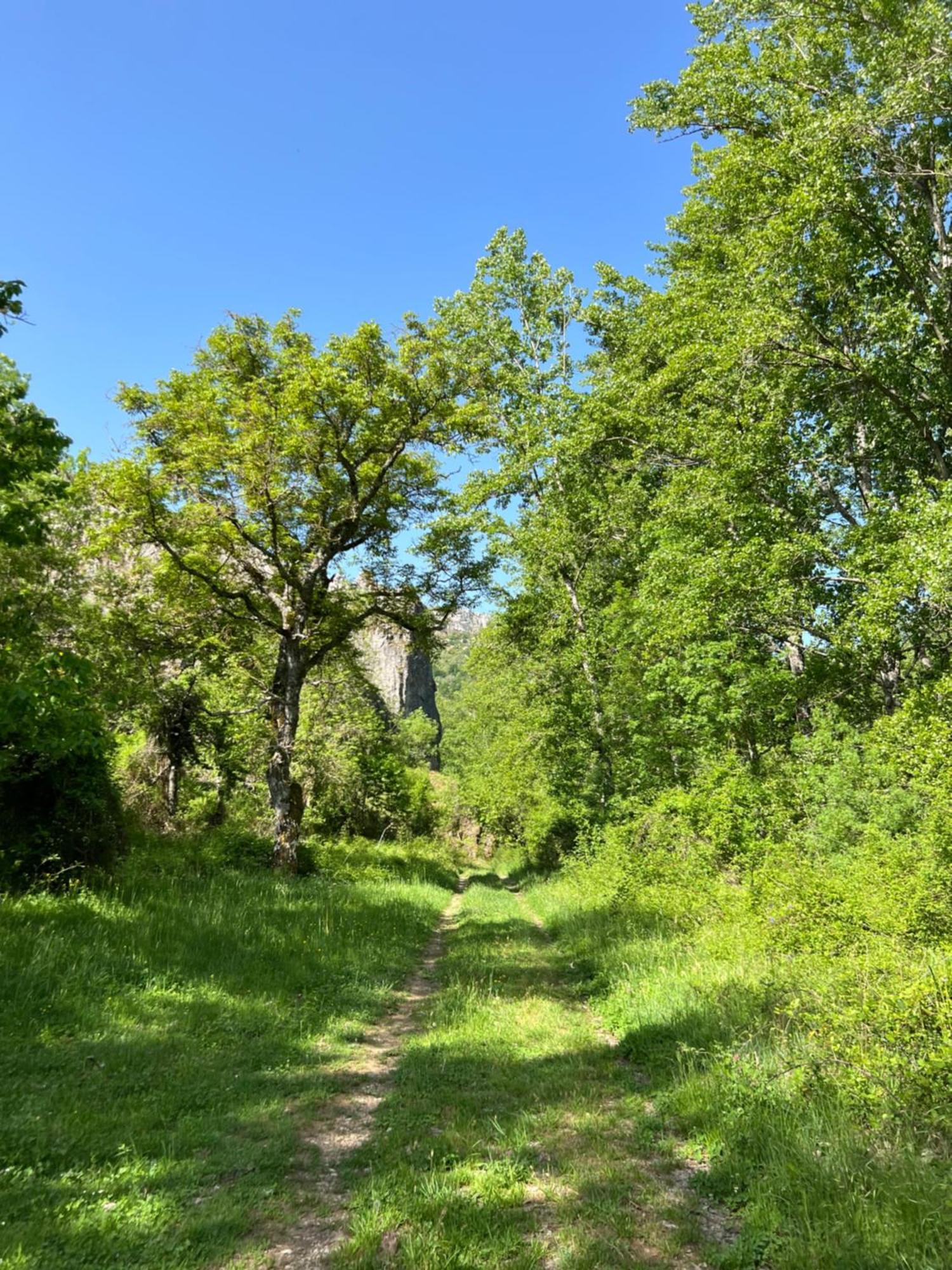 El Refugio I De Verdiago Bagian luar foto